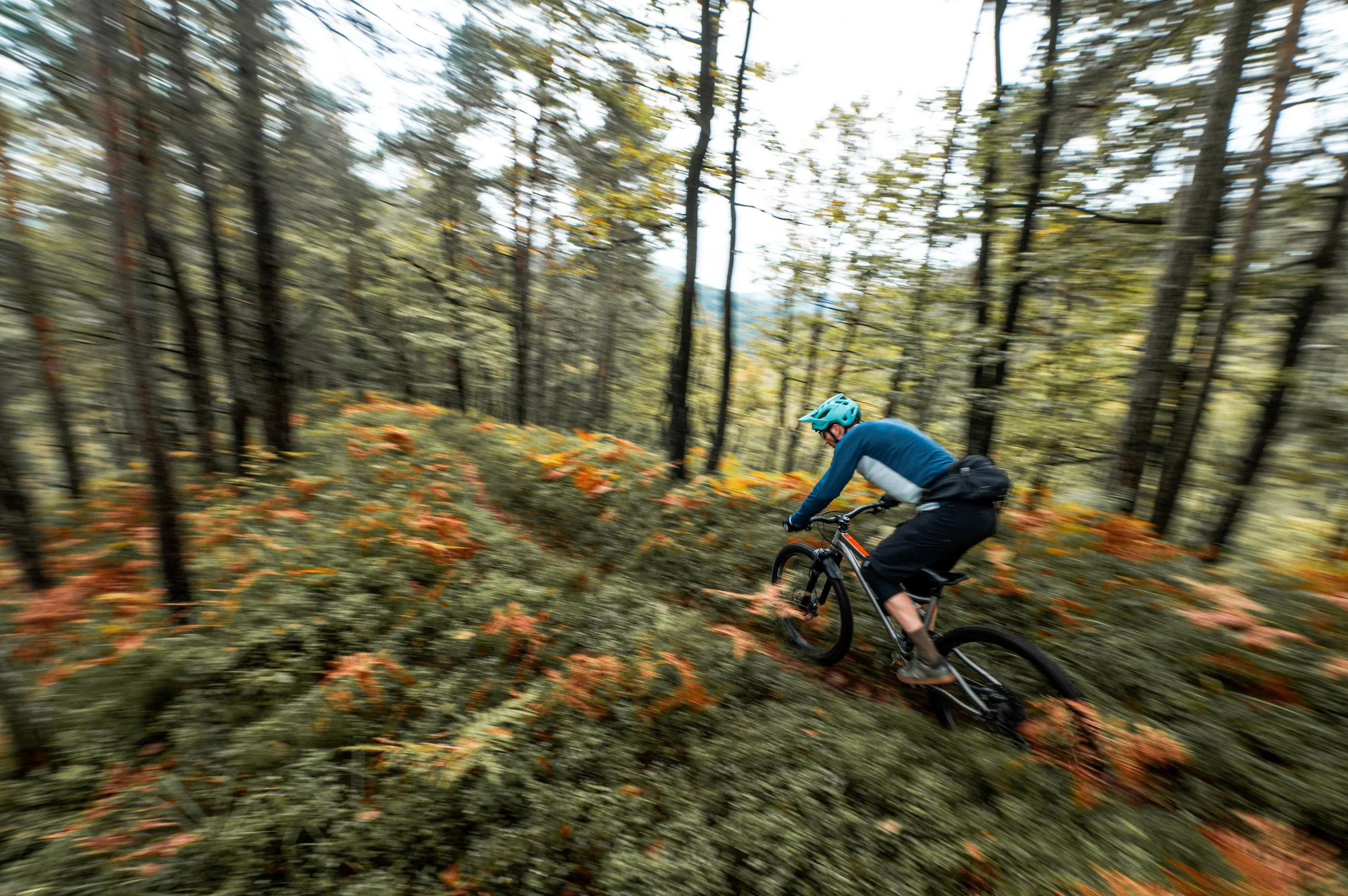 Spring Bike Prep in Aspen | Dirt Service Center